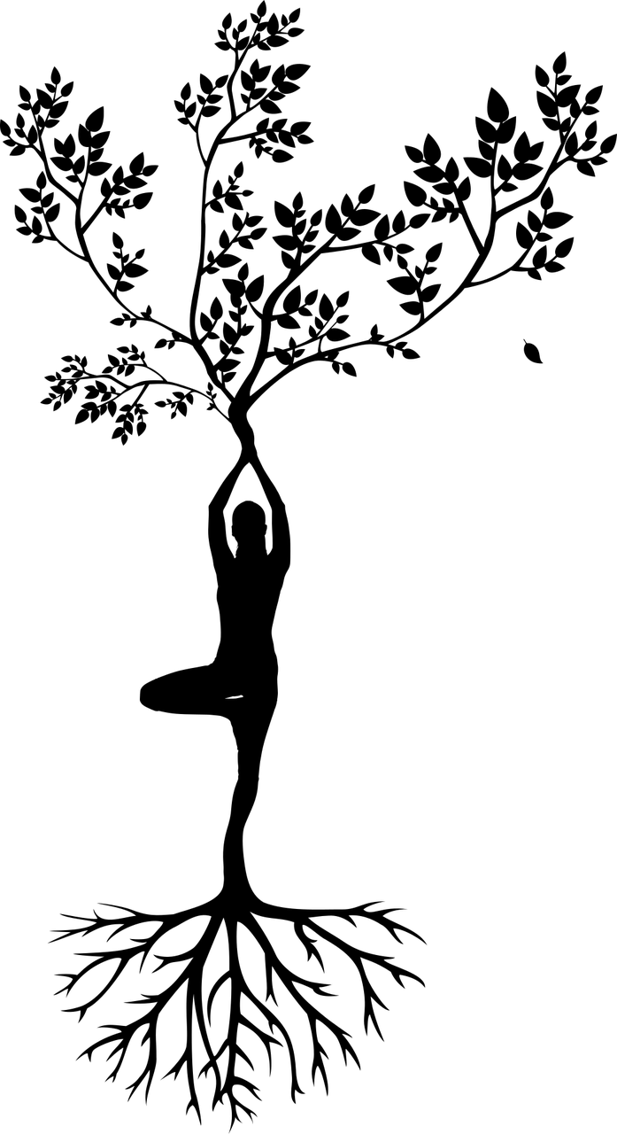 En omfattende guide til yogastillinger - Utforsk og forstå yogaens fundamentale praksis